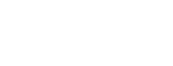 Teisoft